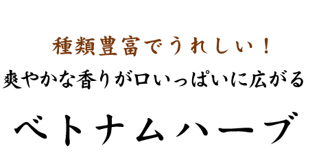 ベトナムハーブ